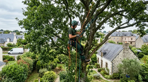 Artisan Elagage Abattage Rennes à Rennes