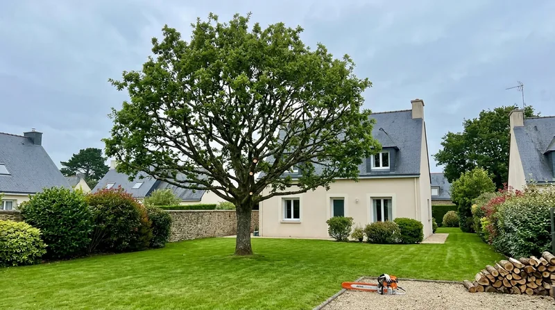 Élagage d'arbre Rennes